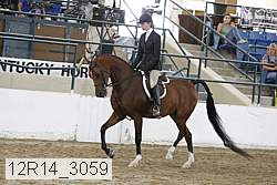 12r14_3059 proof