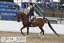 12r14_3060 proof