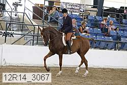 12r14_3067 proof