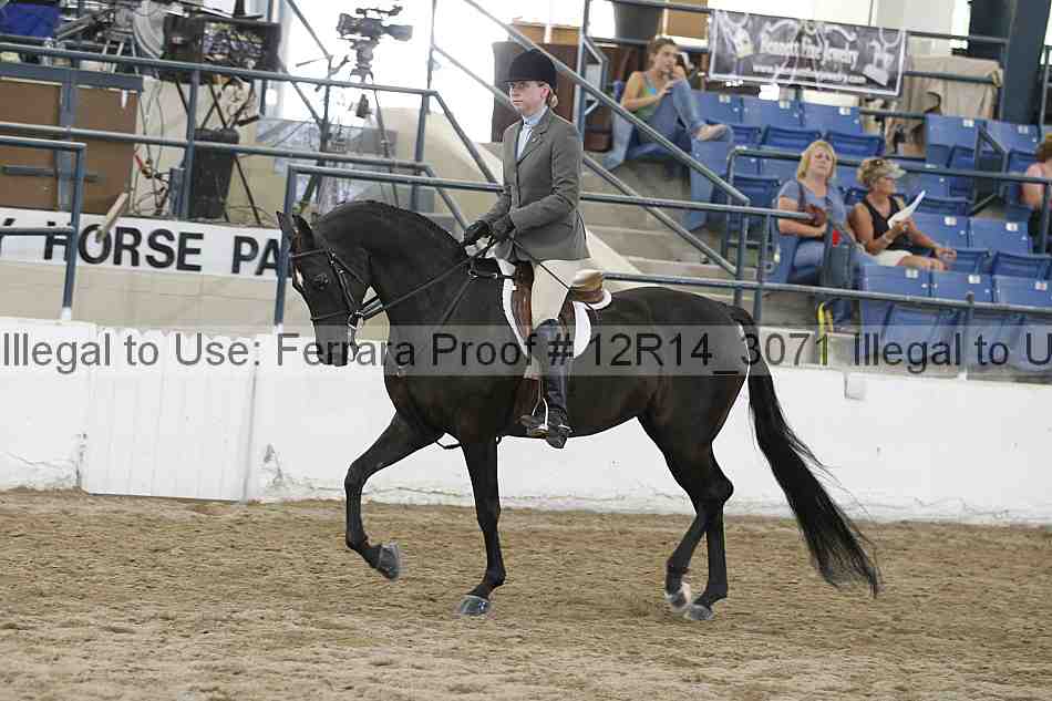 Proof 12r14_3071