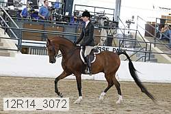 12r14_3072 proof
