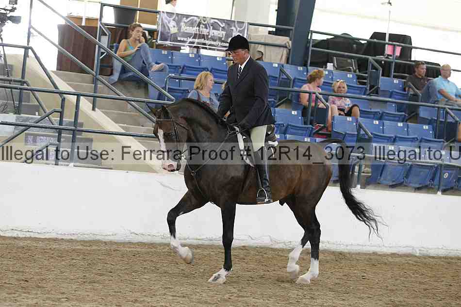 Proof 12r14_3073