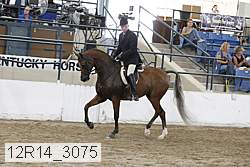 12r14_3075 proof