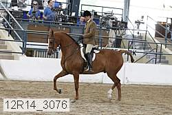 12r14_3076 proof