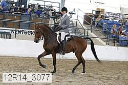 12r14_3077 proof