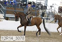 12r14_3078 proof