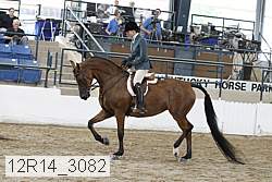 12r14_3082 proof