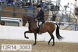 12r14_3083 proof