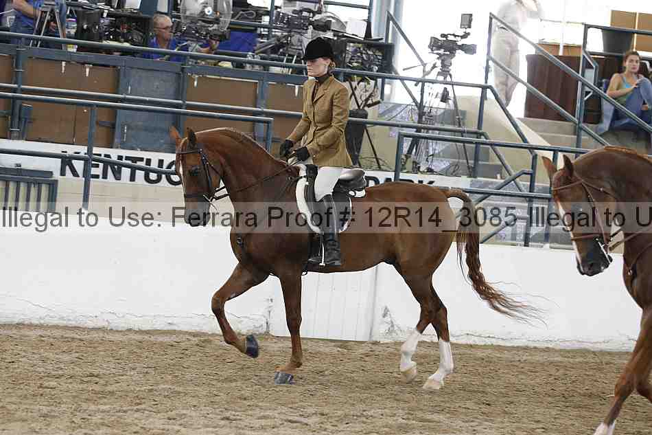 Proof 12r14_3085