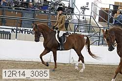 12r14_3085 proof