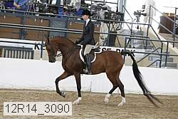 12r14_3090 proof