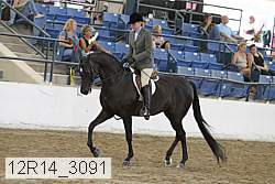 12r14_3091 proof