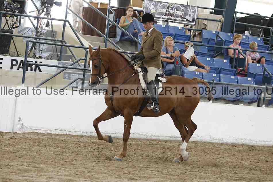 Proof 12r14_3095