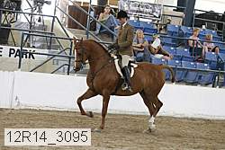 12r14_3095 proof