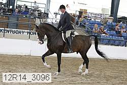 12r14_3096 proof