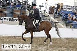 12r14_3098 proof