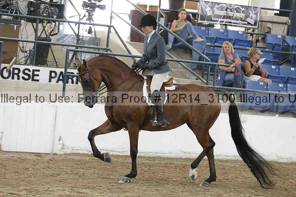 Proof 12r14_3100