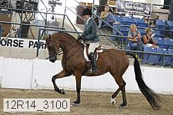 12r14_3100 proof