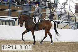 12r14_3102 proof