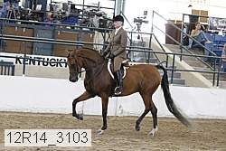 12r14_3103 proof