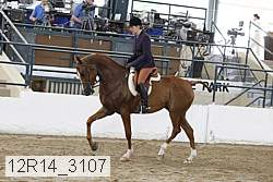 12r14_3107 proof