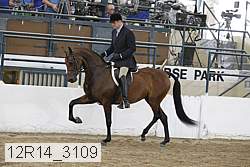 12r14_3109 proof