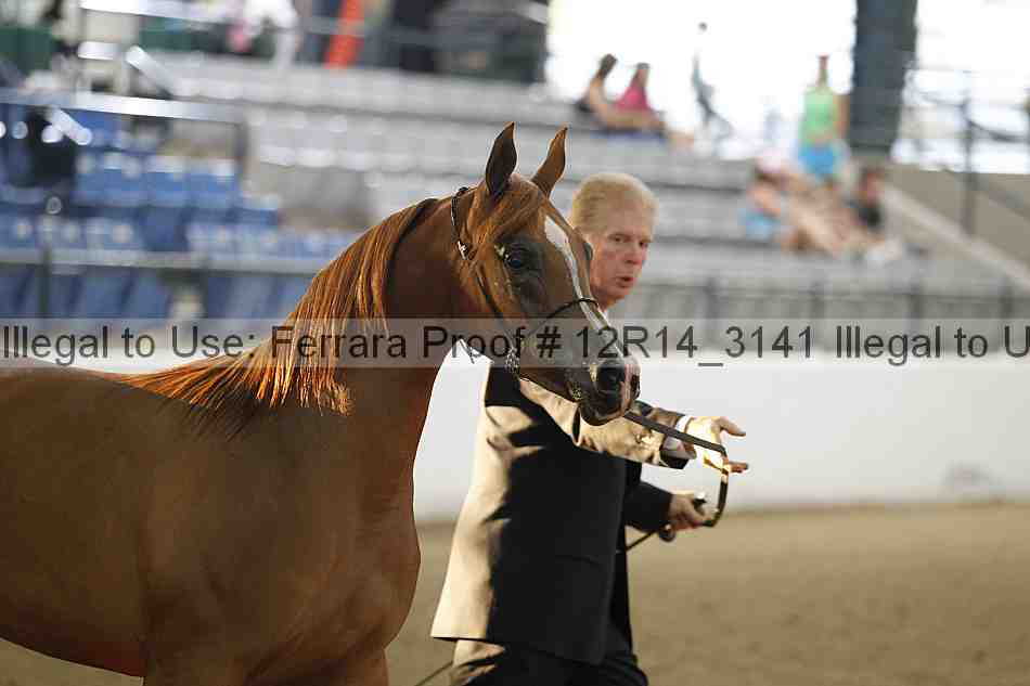 Proof 12r14_3141