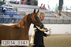 12r14_3141 proof