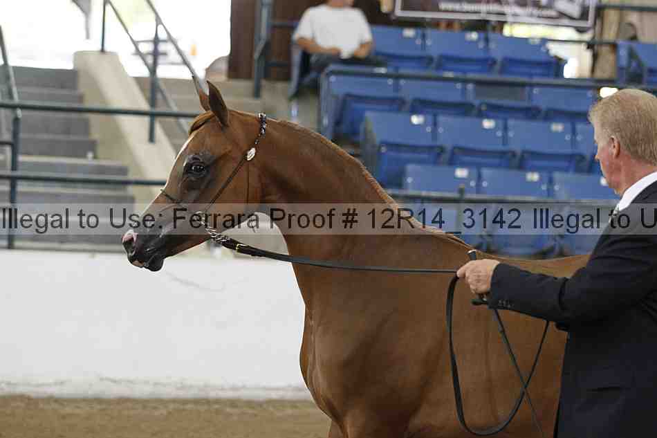 Proof 12r14_3142