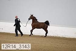 12r14_3143 proof