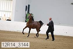 12r14_3144 proof