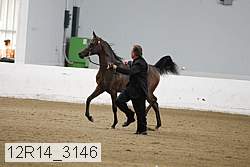 12r14_3146 proof