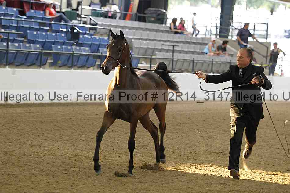 Proof 12r14_3147