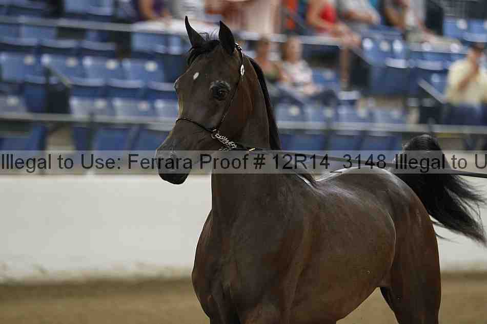 Proof 12r14_3148