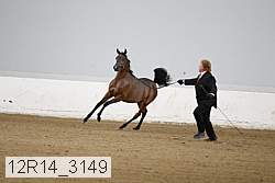 12r14_3149 proof