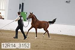 12r14_3152 proof