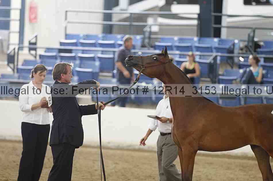 Proof 12r14_3153