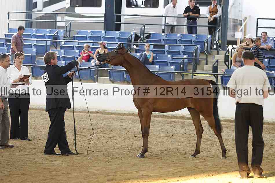 Proof 12r14_3154