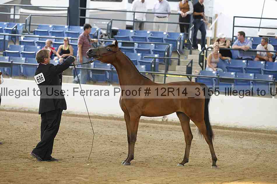 Proof 12r14_3155