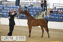 12r14_3155 proof