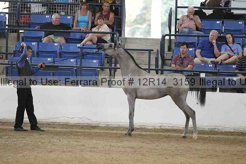 Proof 12r14_3159