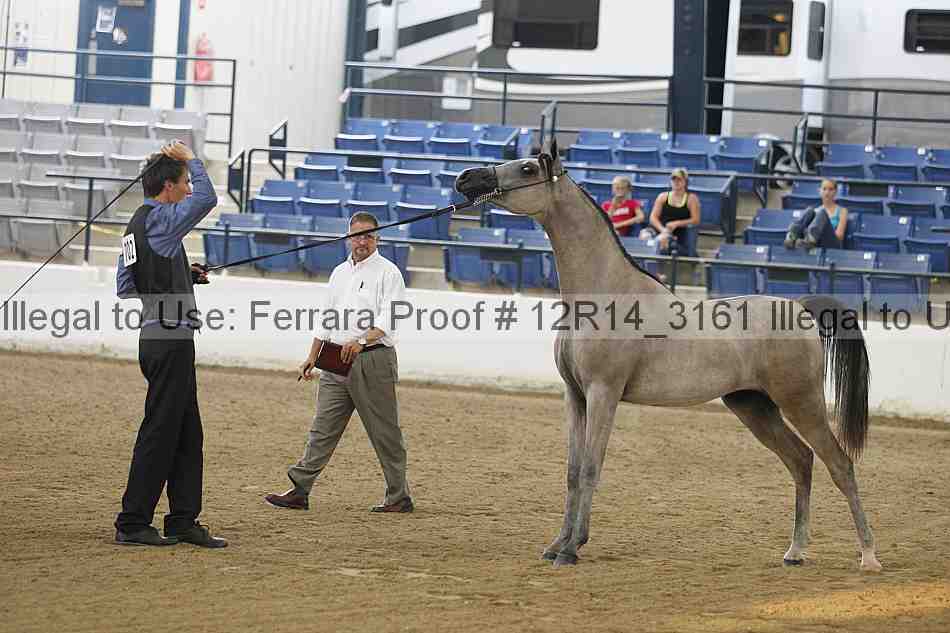 Proof 12r14_3161