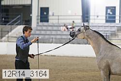 12r14_3164 proof