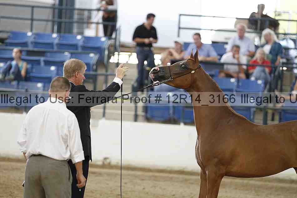Proof 12r14_3166