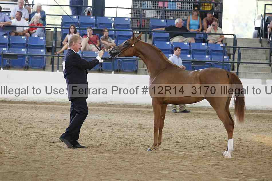 Proof 12r14_3170