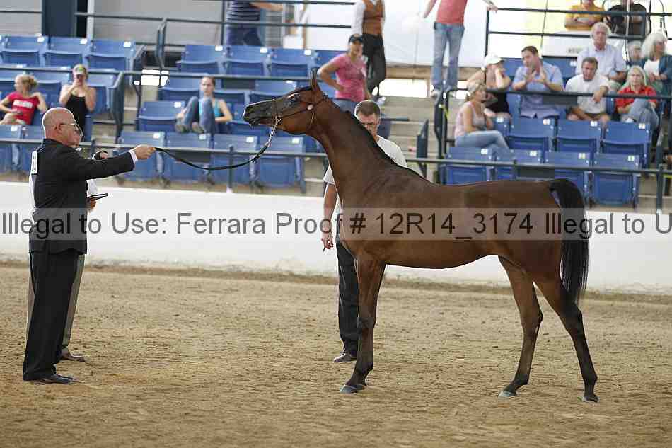 Proof 12r14_3174