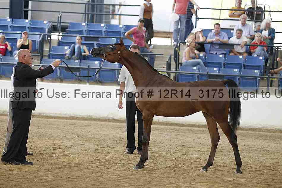 Proof 12r14_3175