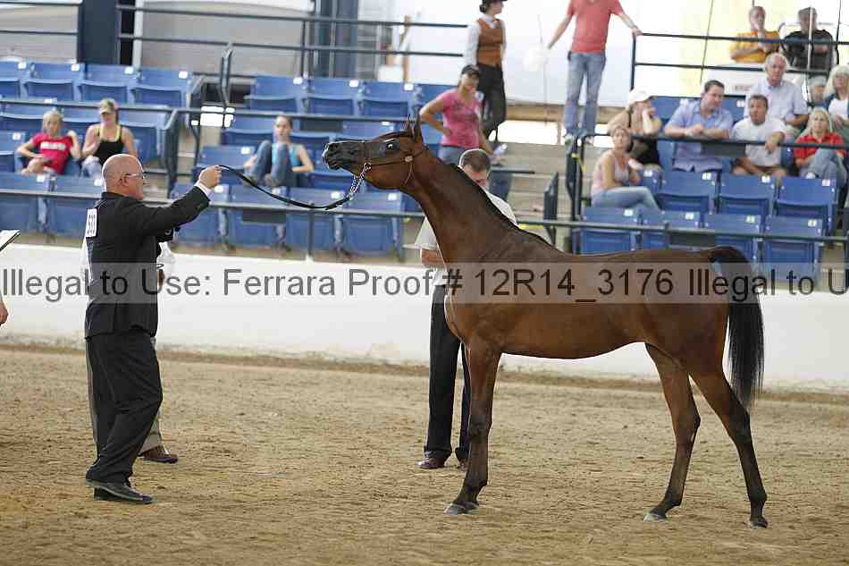 Proof 12r14_3176
