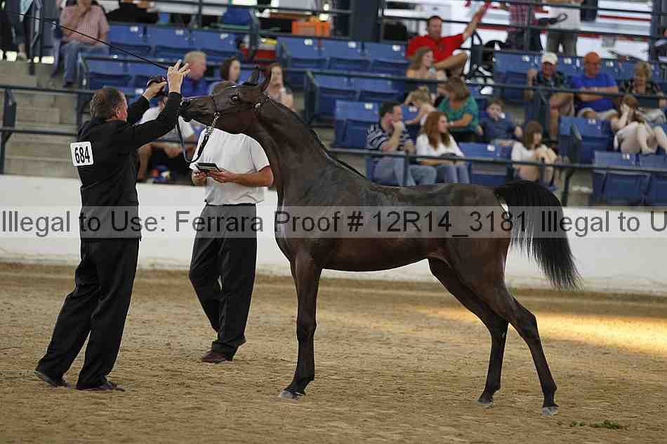 Proof 12r14_3181