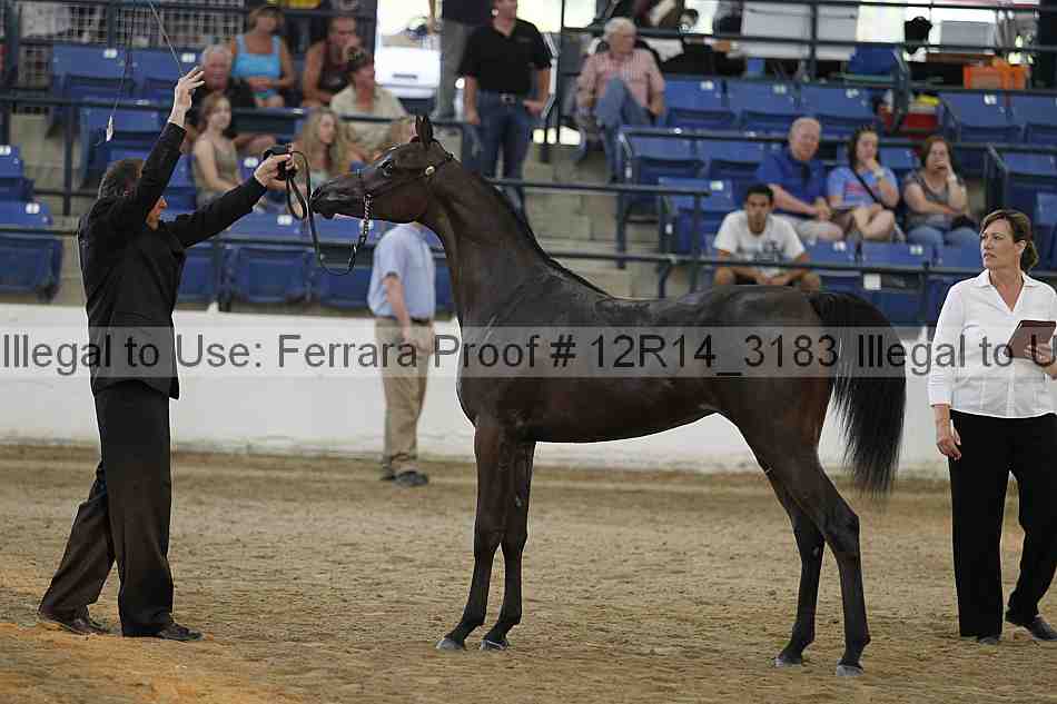 Proof 12r14_3183
